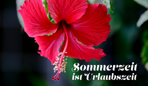 Sommerzeit ist urlaubszeit